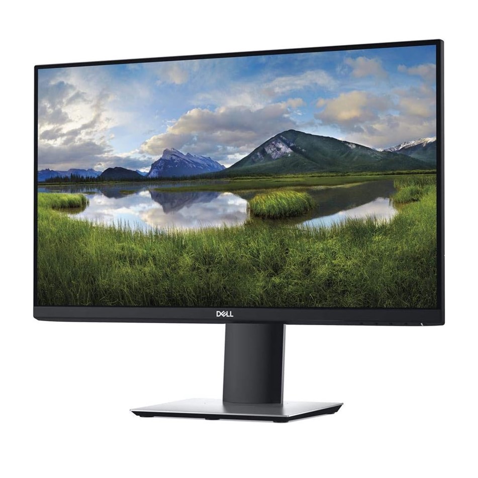 DELL P2419H