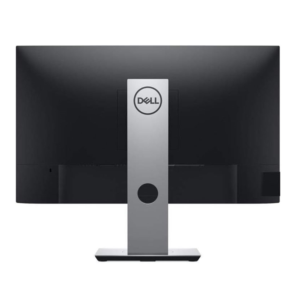 DELL P2419H