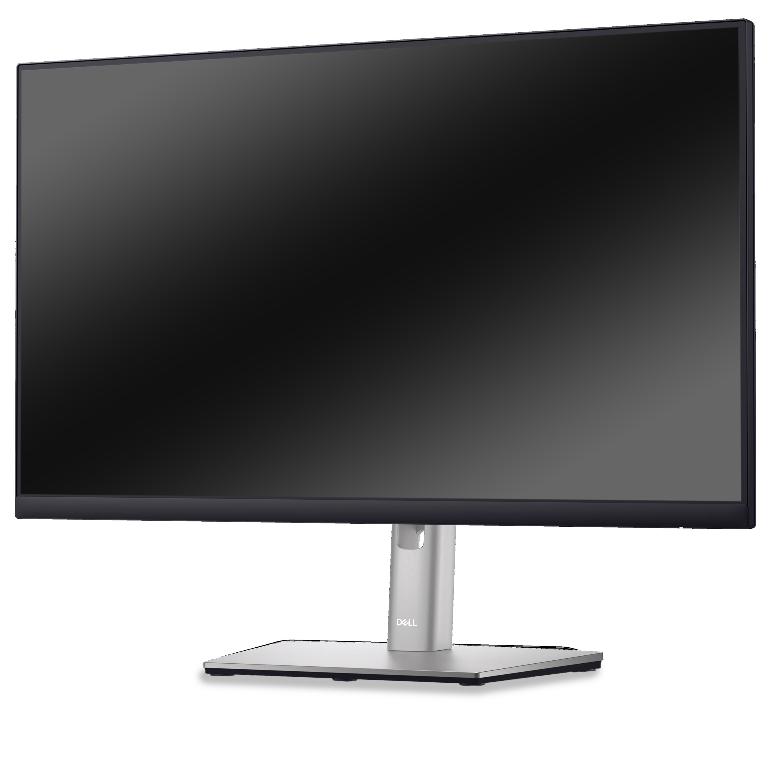 DELL Flat Panel Monitor P2422H